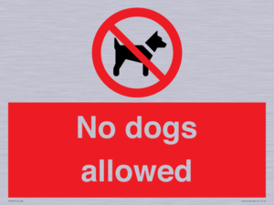 No dogs allowed